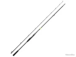 Canne Casting Daiwa Prorex E 2022 2 2m29 28 - 84g 148g