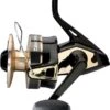 Daiwa MOULINET GOLD SILVER 100 B -Matériel De Pêche 00001 MOULINET GOLD SILVER 100 B
