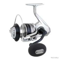 Moulinet Mer Shimano Saragosa SW A 8000 HG