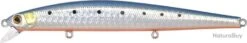 ZBL SYSTEM MINNOW 123F - 661