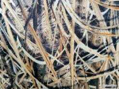 CUISSARDE NEOPRENE 5 MM CAMO POINTURE 42 9 CUISSARDE NEOPRENE 5 MM CAMO POINTURE 42 -Matériel De Pêche 00004 CUISSARDE NEOPRENE 5 MM CAMO POINTURE 44