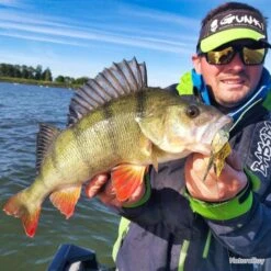 Leurre Boomer 14g Gunki Paradise MS -Matériel De Pêche 00005 Leurre Boomer 14g Gunki Paradise MS