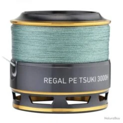 Moulinet Daiwa Regal PE Tsuki - 2004 HE -Matériel De Pêche 00021 Moulinet Daiwa Regal PE Tsuki 2004 HE